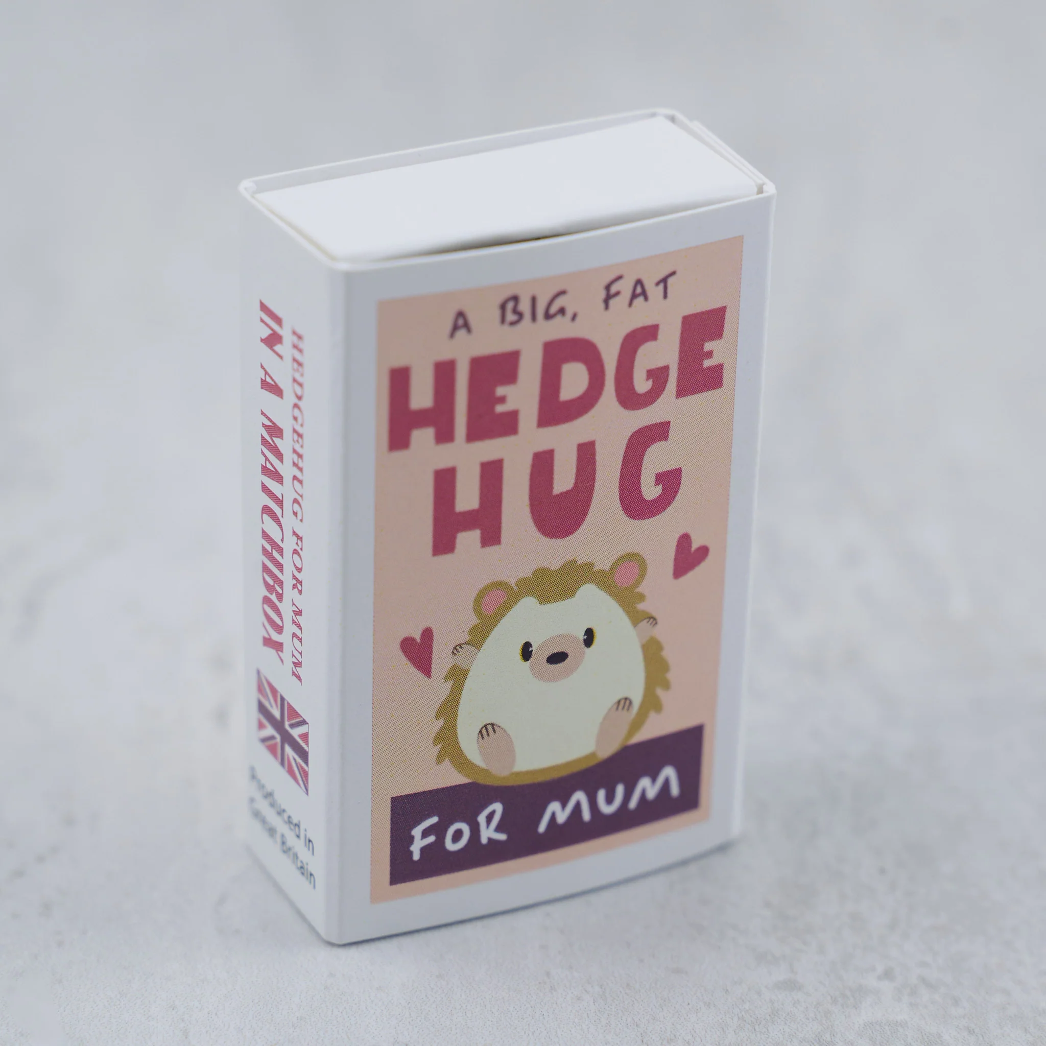 A Big Fat Hedgehug For Mum In A Matchbox - Image 3