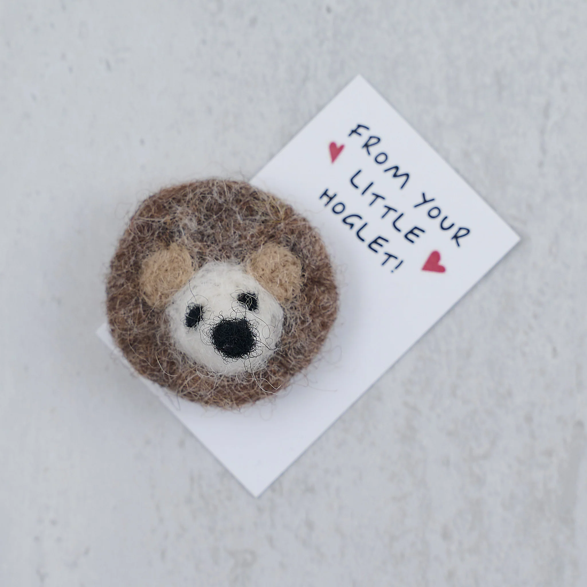 A Big Fat Hedgehug For Mum In A Matchbox - Image 5