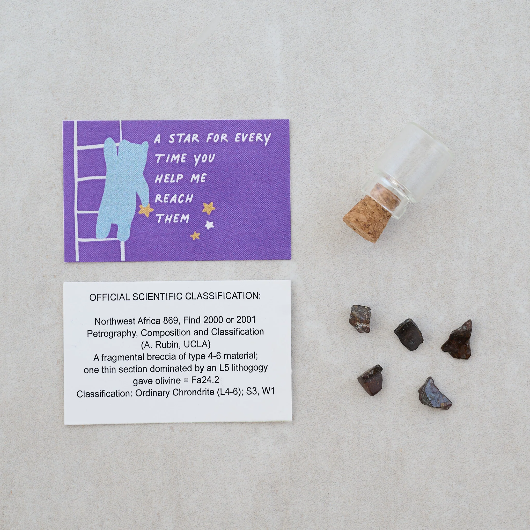 Daddy Bear Meteorite Gift In A Matchbox - Image 3