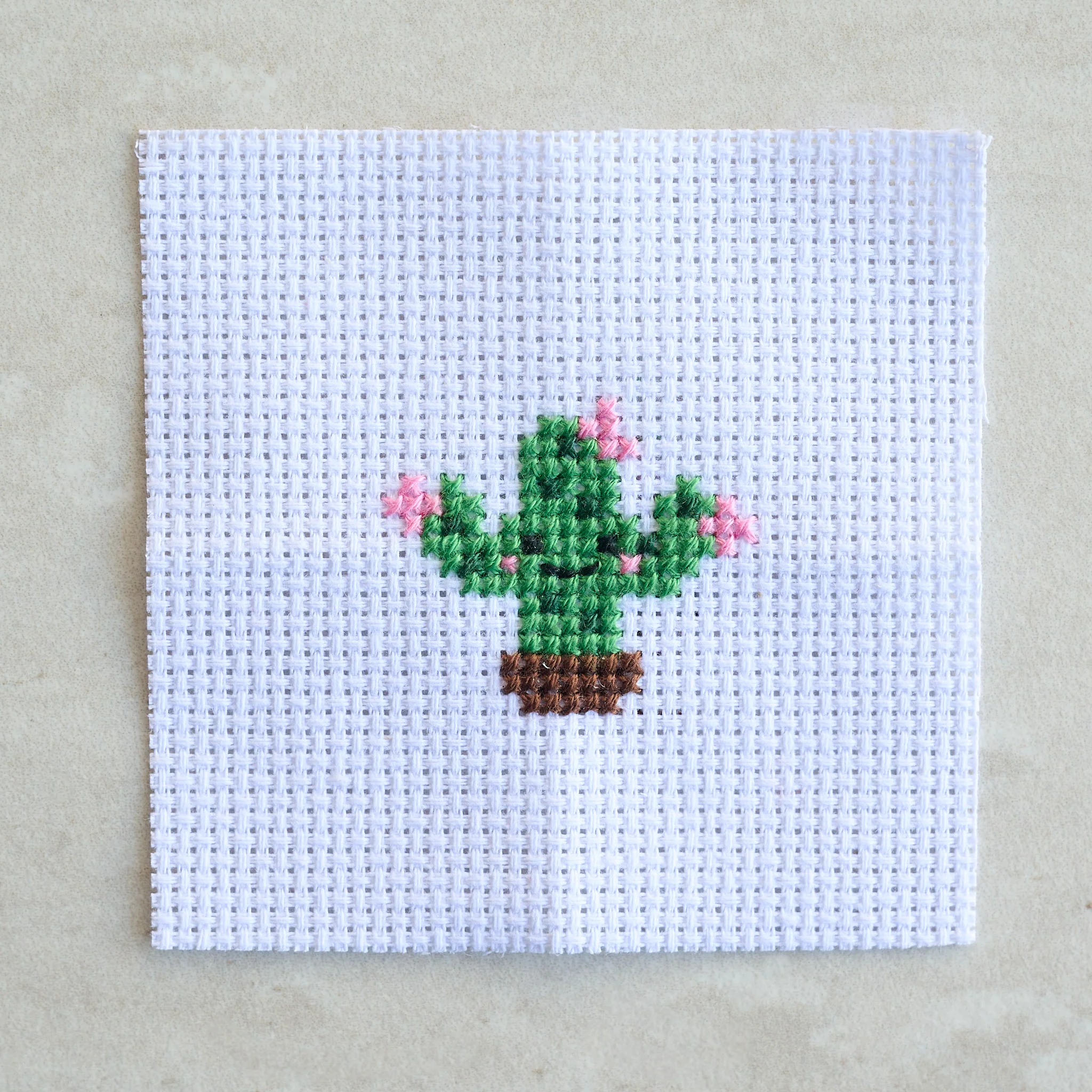 Kawaii Cactus Cross Stitch Kit - Image 3