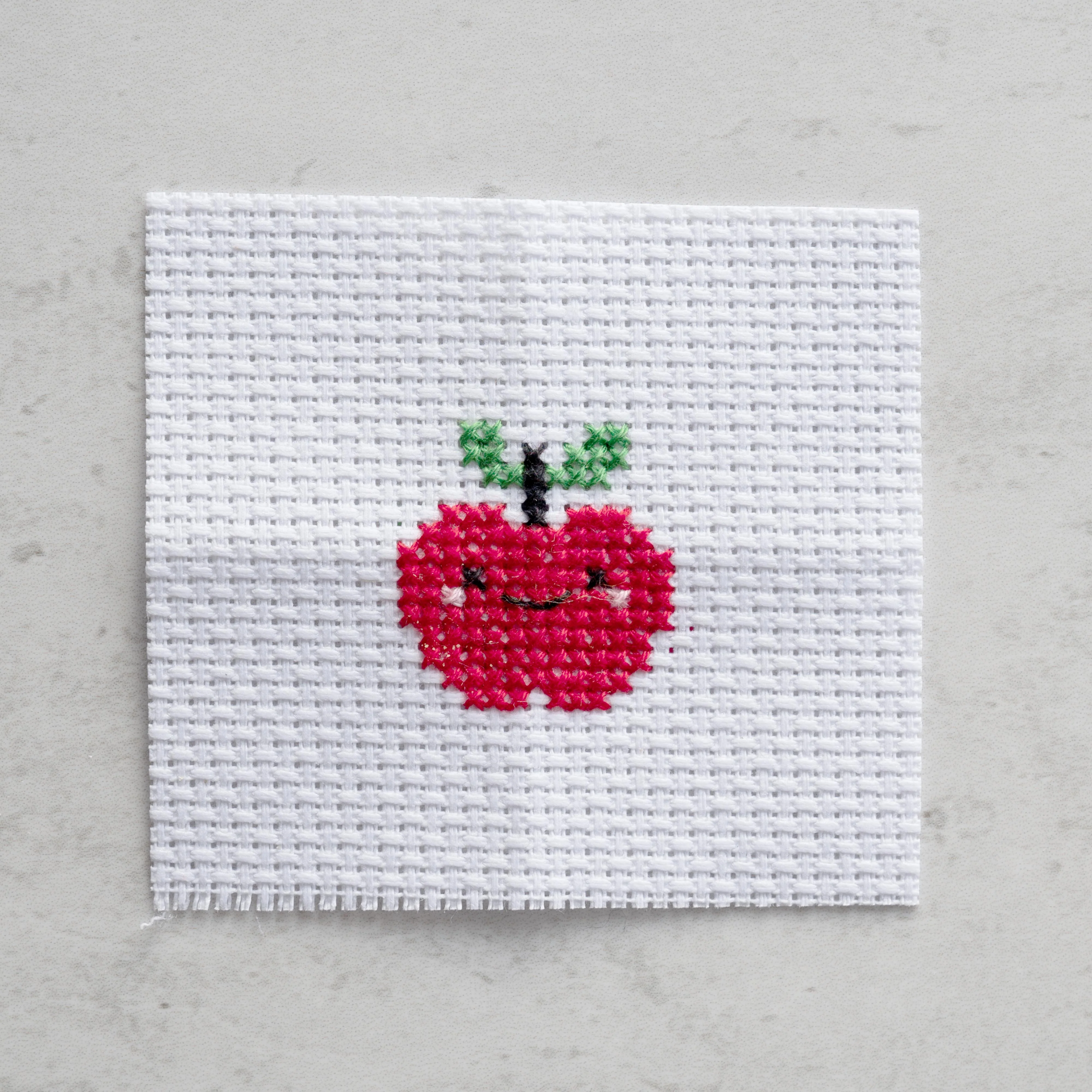 Mini Cross Stitch Kit With Kawaii Apple Design - Image 5