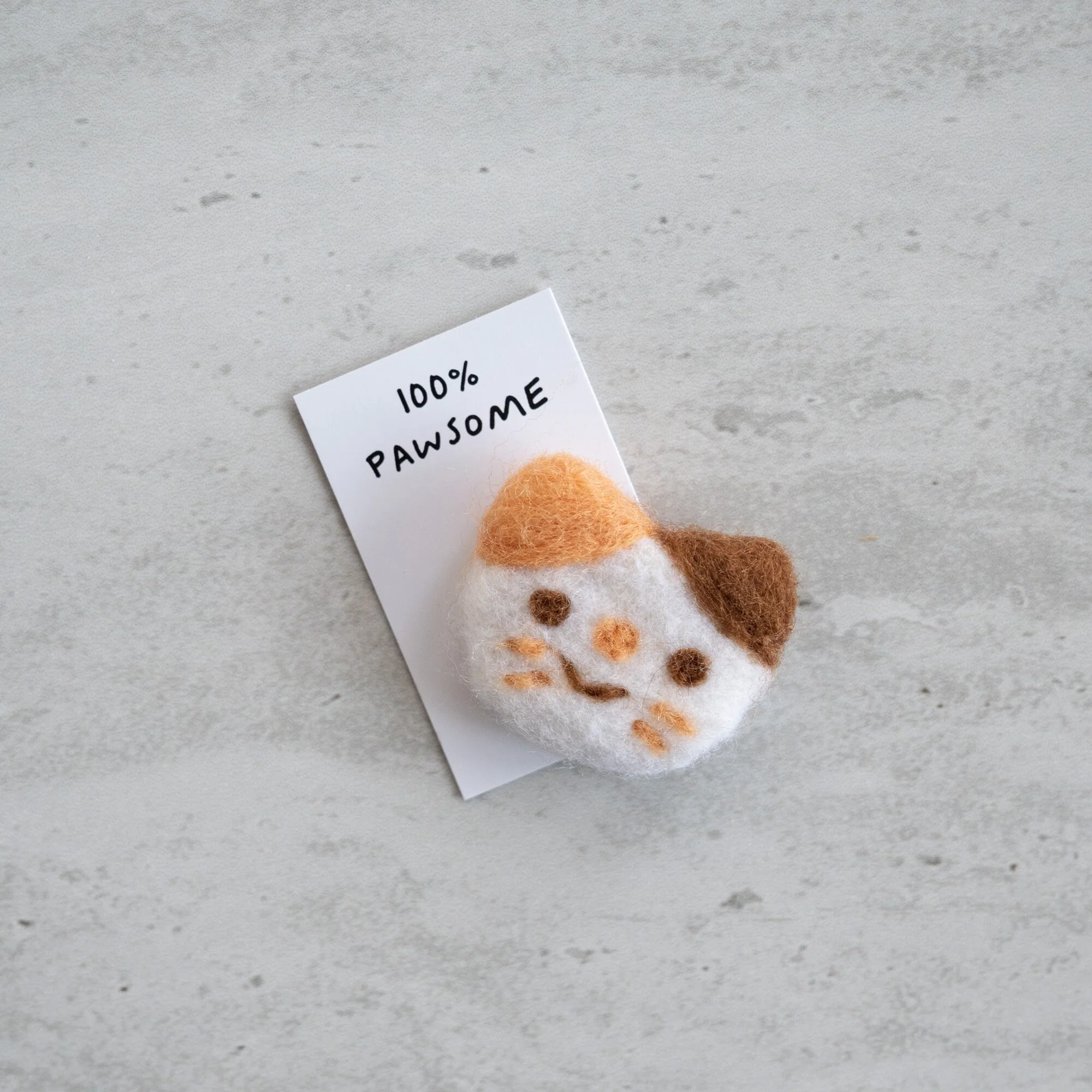 Pretty Much Purrfect Wool Felt Cat In A Matchbox - Image 3