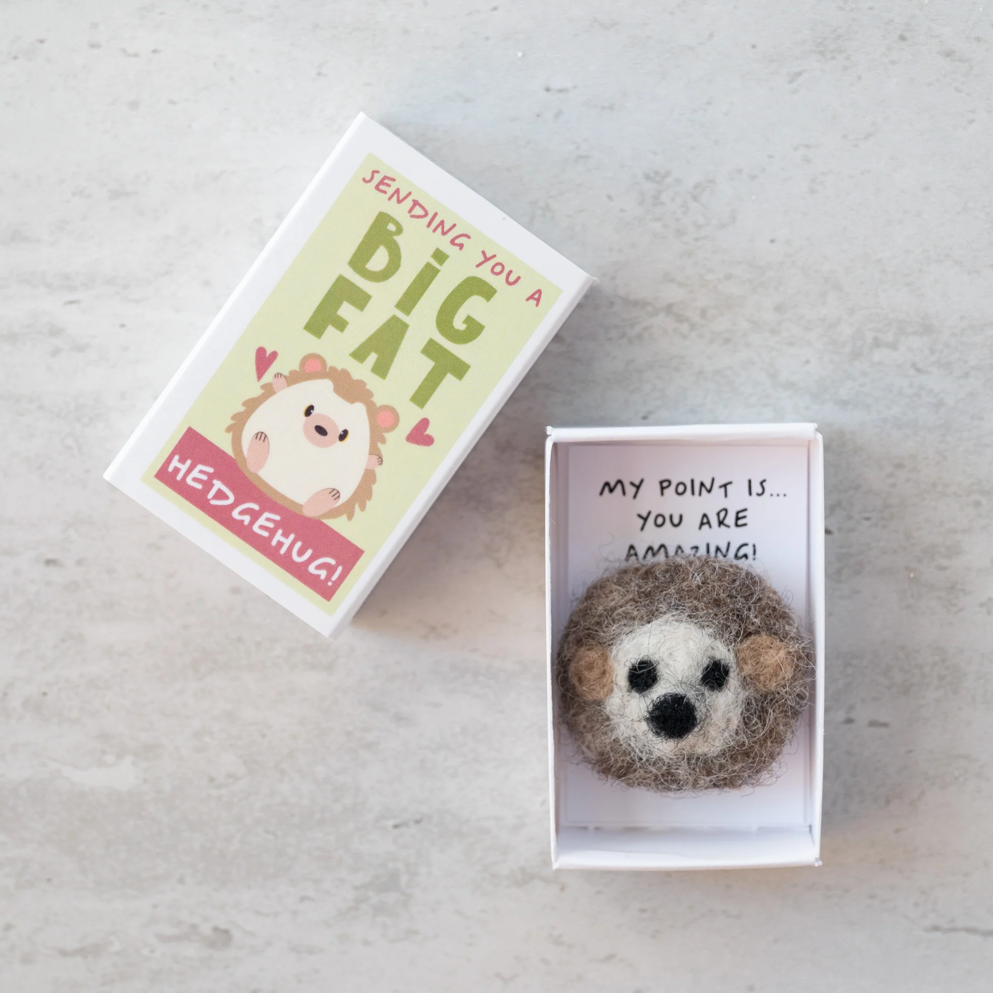 Sending You A 'Hedgehug' In A Matchbox - Image 3