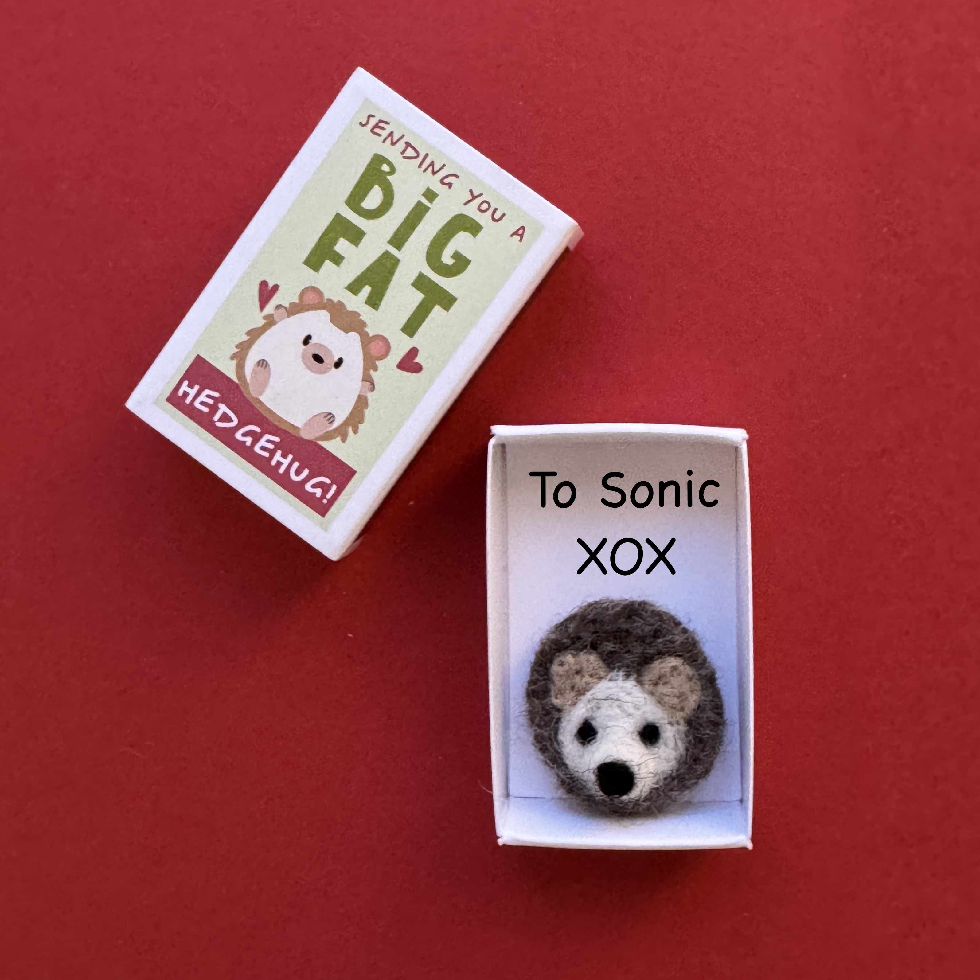 Sending You A 'Hedgehug' In A Matchbox - Image 4